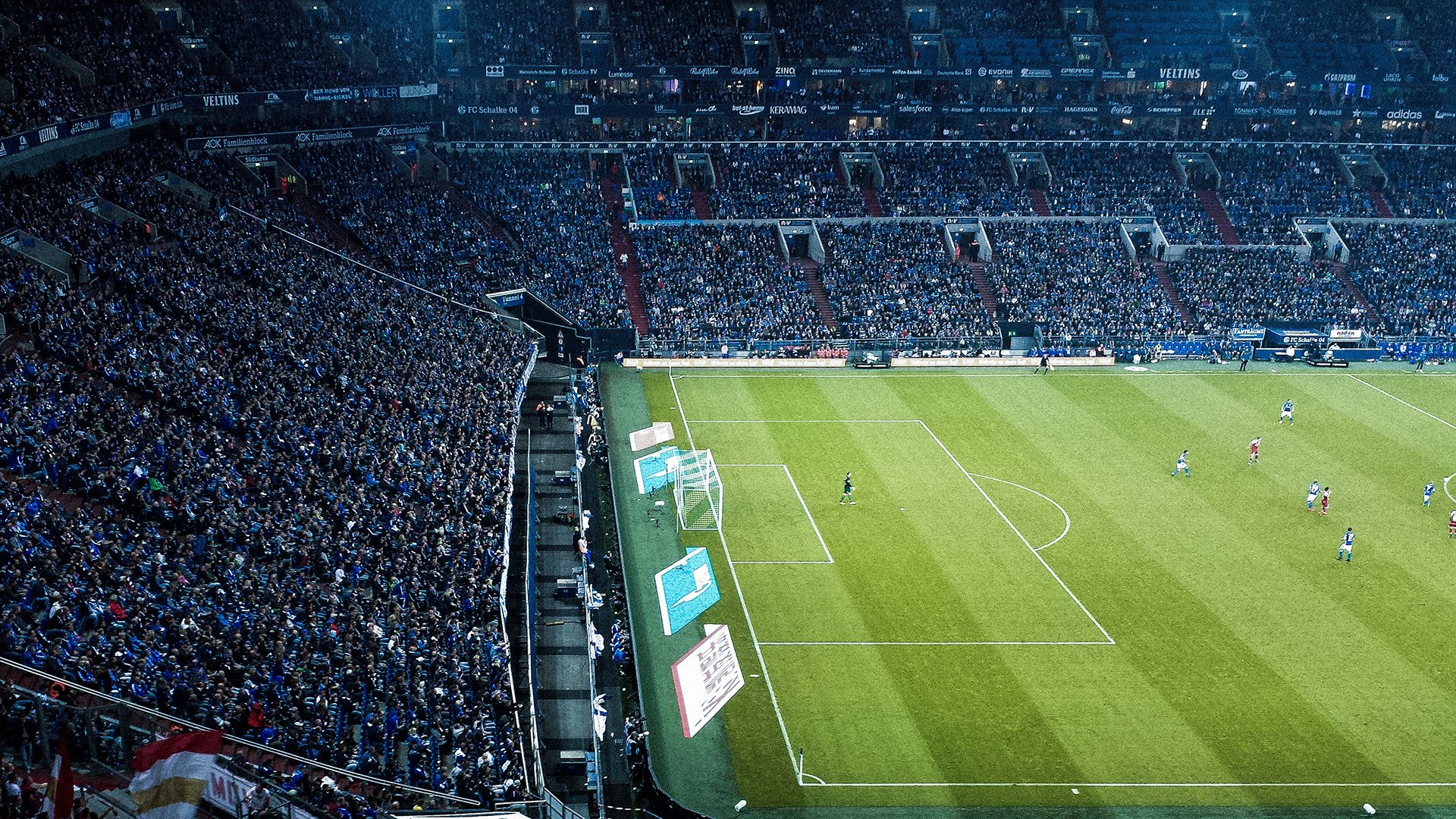 新闻中心发布大型赛事志愿者选拔计划，2021年大型赛事志愿者