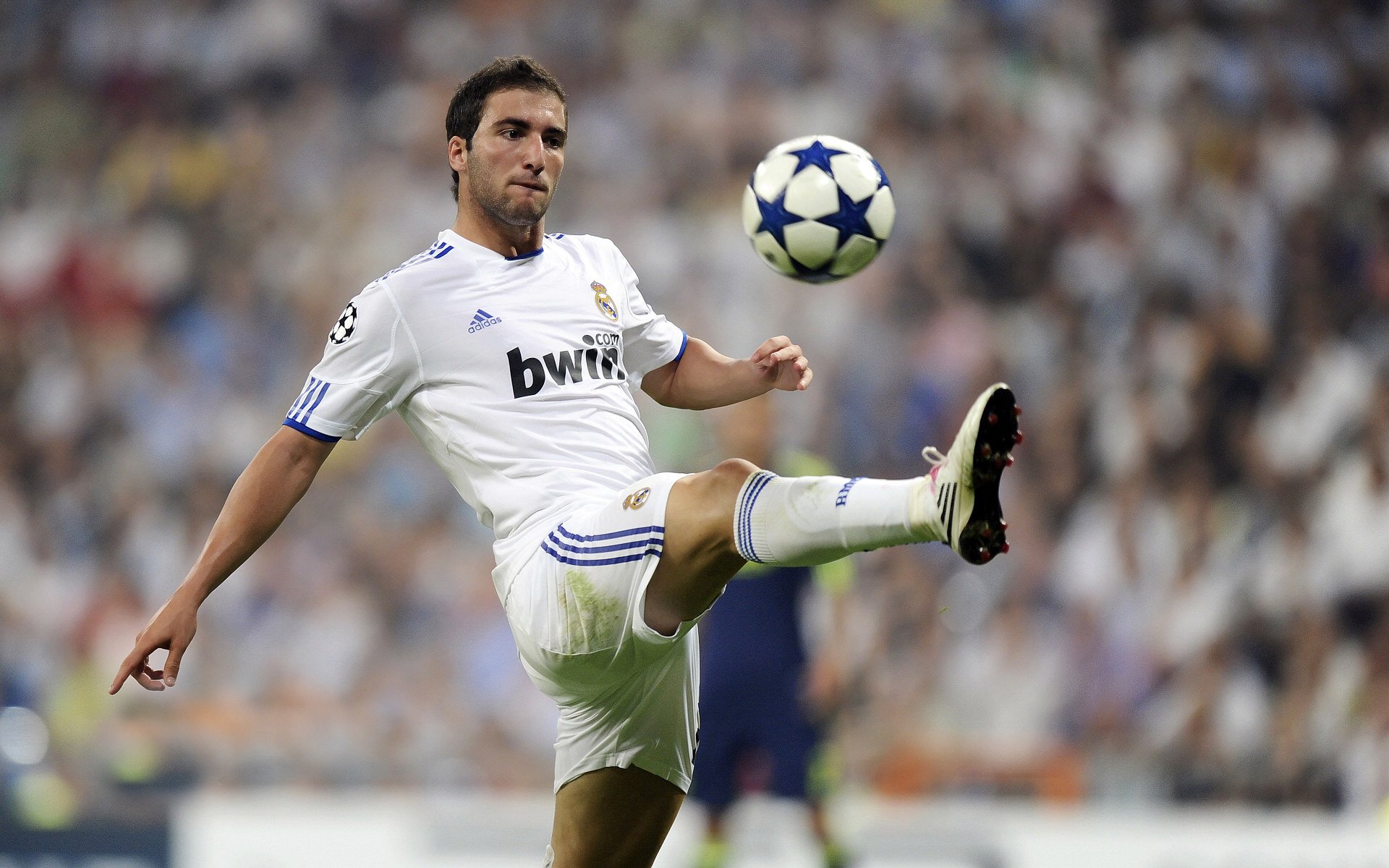 欧洲杯最佳阵容媒体投票，欧洲杯最佳球队