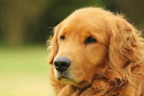 AYX SPORTS-“战术变革带来不同凡响的比赛节奏与效果”，战术规律